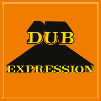 errol brown & the revolutionaries – dub expression