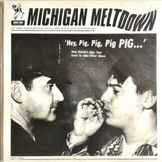 v/a – michigan meltdown (post garage pandemonium and pre punk fuzz freaks from the mitten state's miliken era)