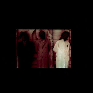 sun city girls – bleach has feelings, too! / to cover up your right to live