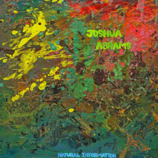 joshua abrams – natural information