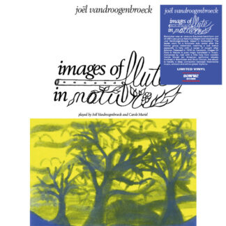 joël vandroogenbroeck – images of flute in nature