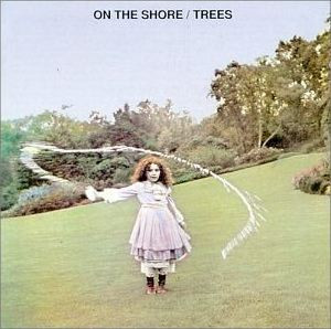 trees – on the shore