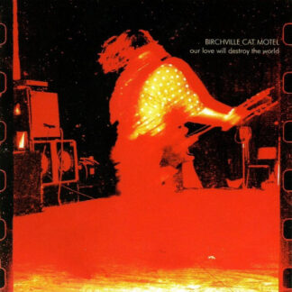 birchville cat motel – our love will destroy the world