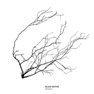 black motor – branches