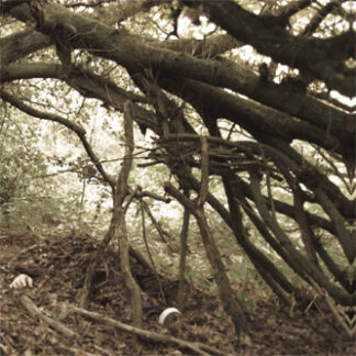 kauppa3 hush arbors – under bent limb trees