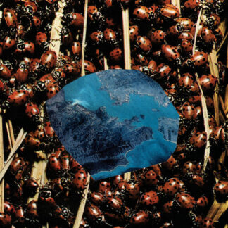 papivores – death and spring