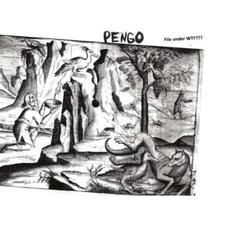 pengo – file under wtf???