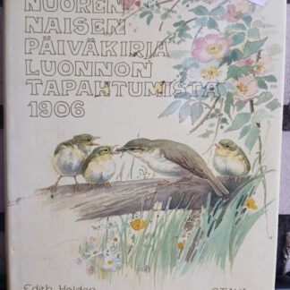 nuoren